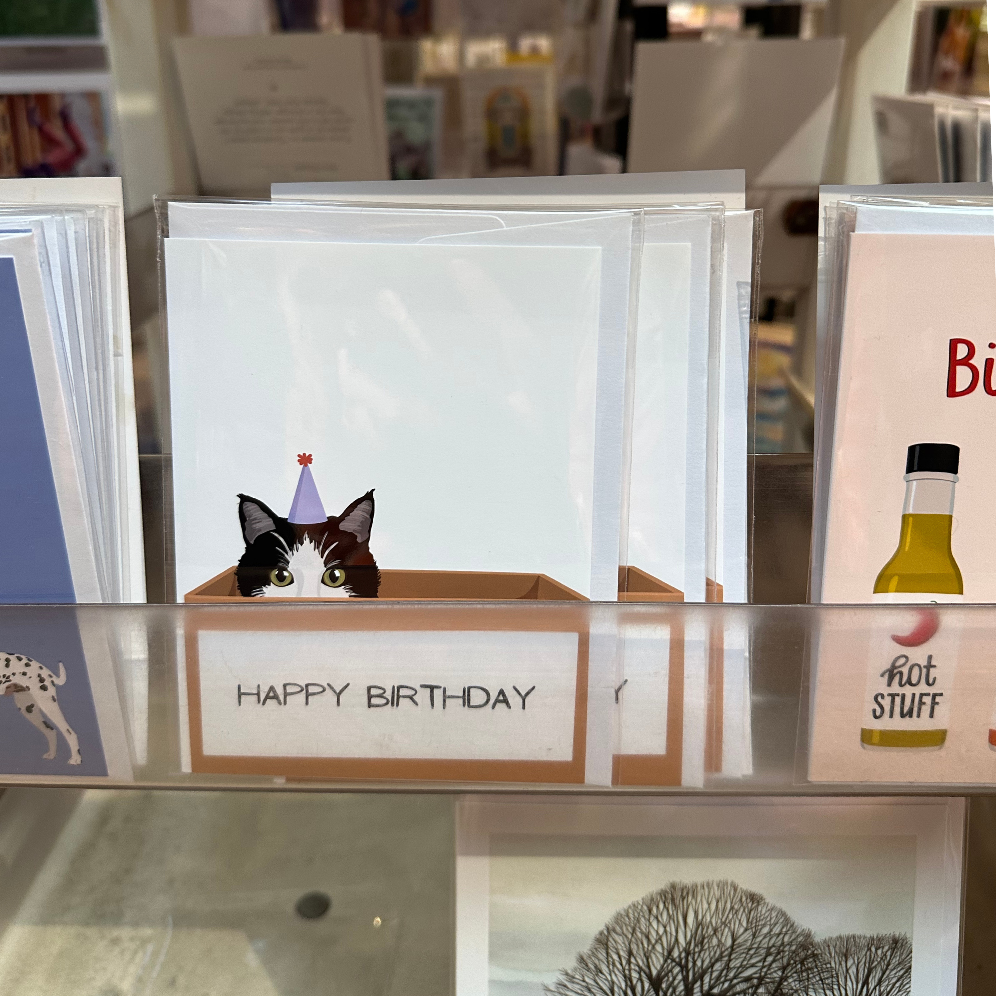 Birthday Cat Greeting Card