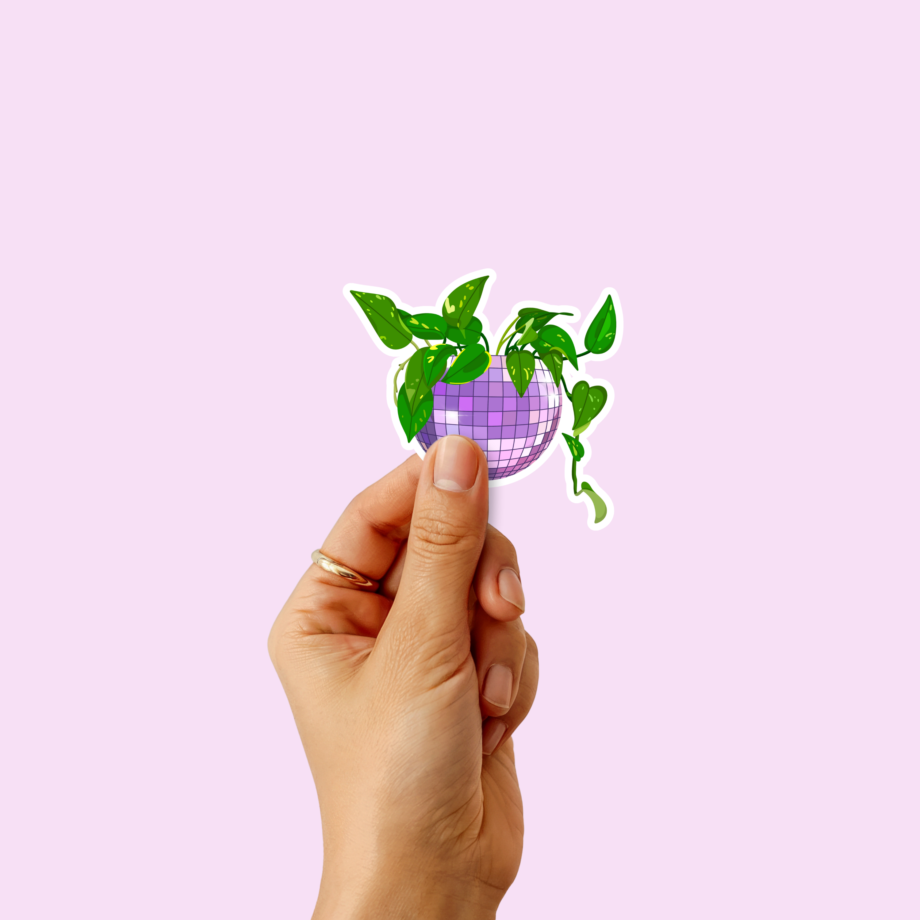 Disco Ball Plant Sticker | Golden Pothos Sticker